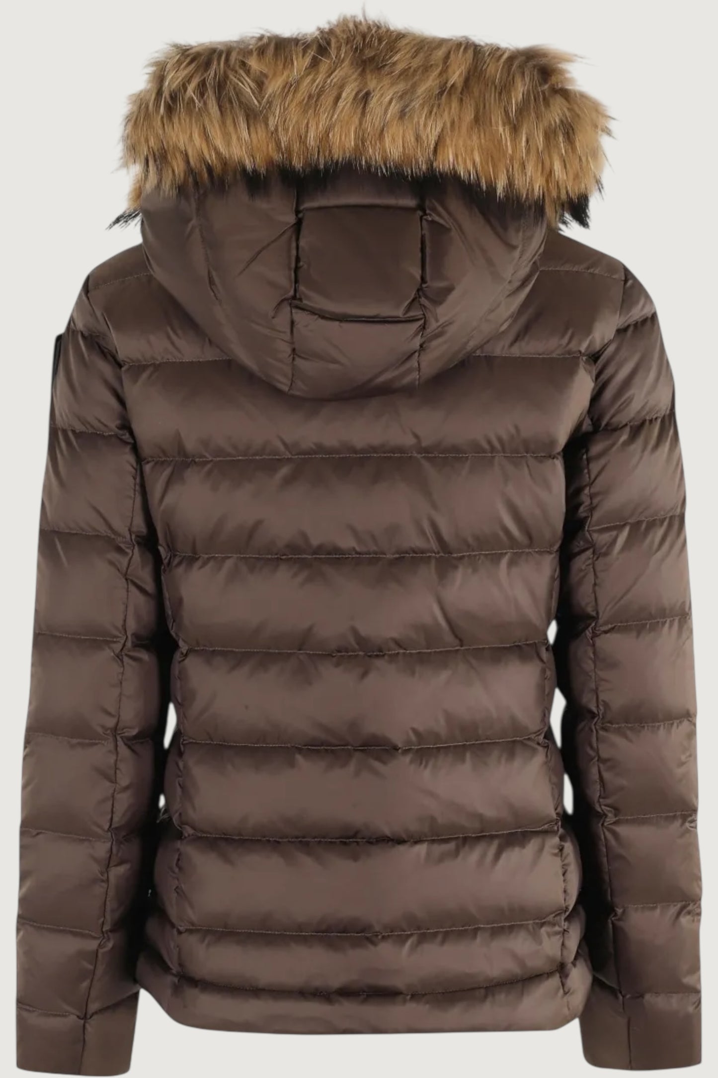 BLAUER-25WBLDC03099006047 365EI -ARCADIA