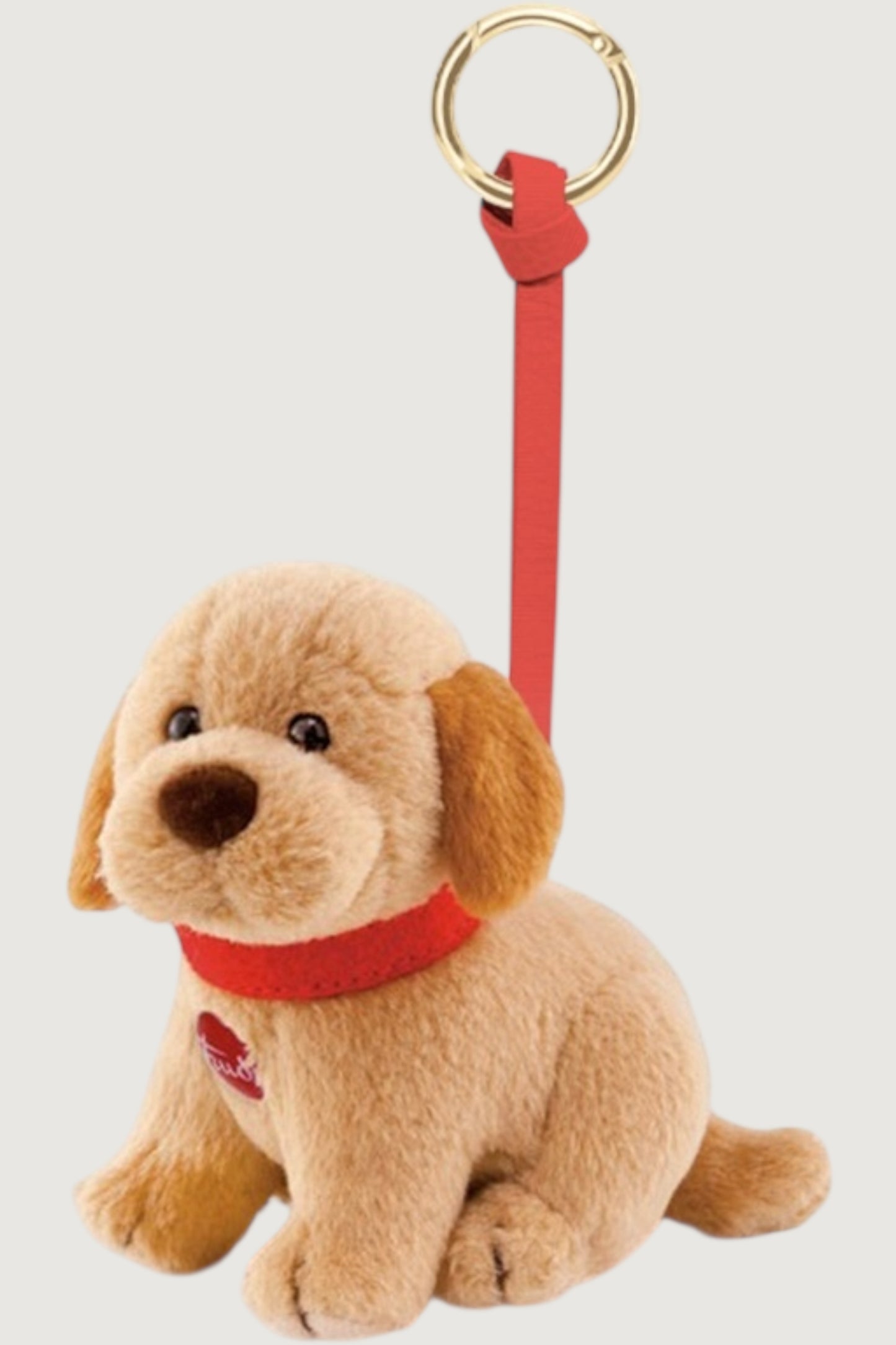 Charm fur labrador